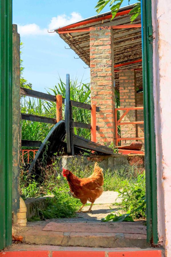 La Hacienda Vandrarhem San Gil Exteriör bild